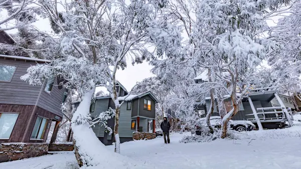 Dinner Plain – Dog Friendly Snow Day
