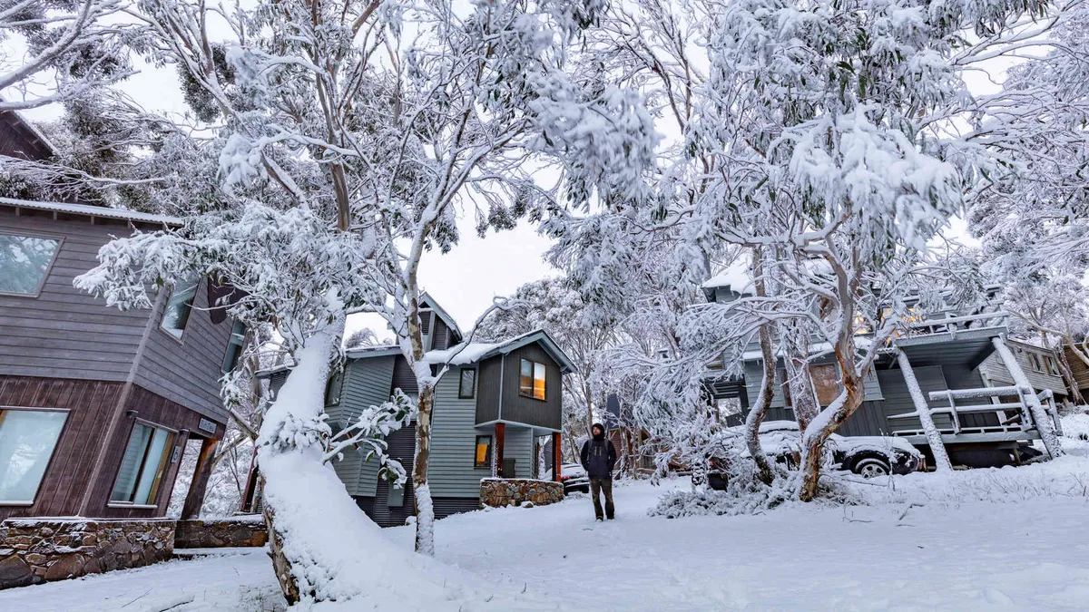 Dinner Plain – Dog Friendly Snow Day