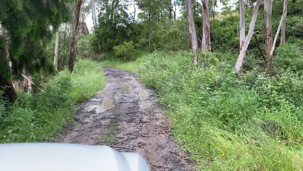 Boola / Tyers Easy Track – 13.5km
