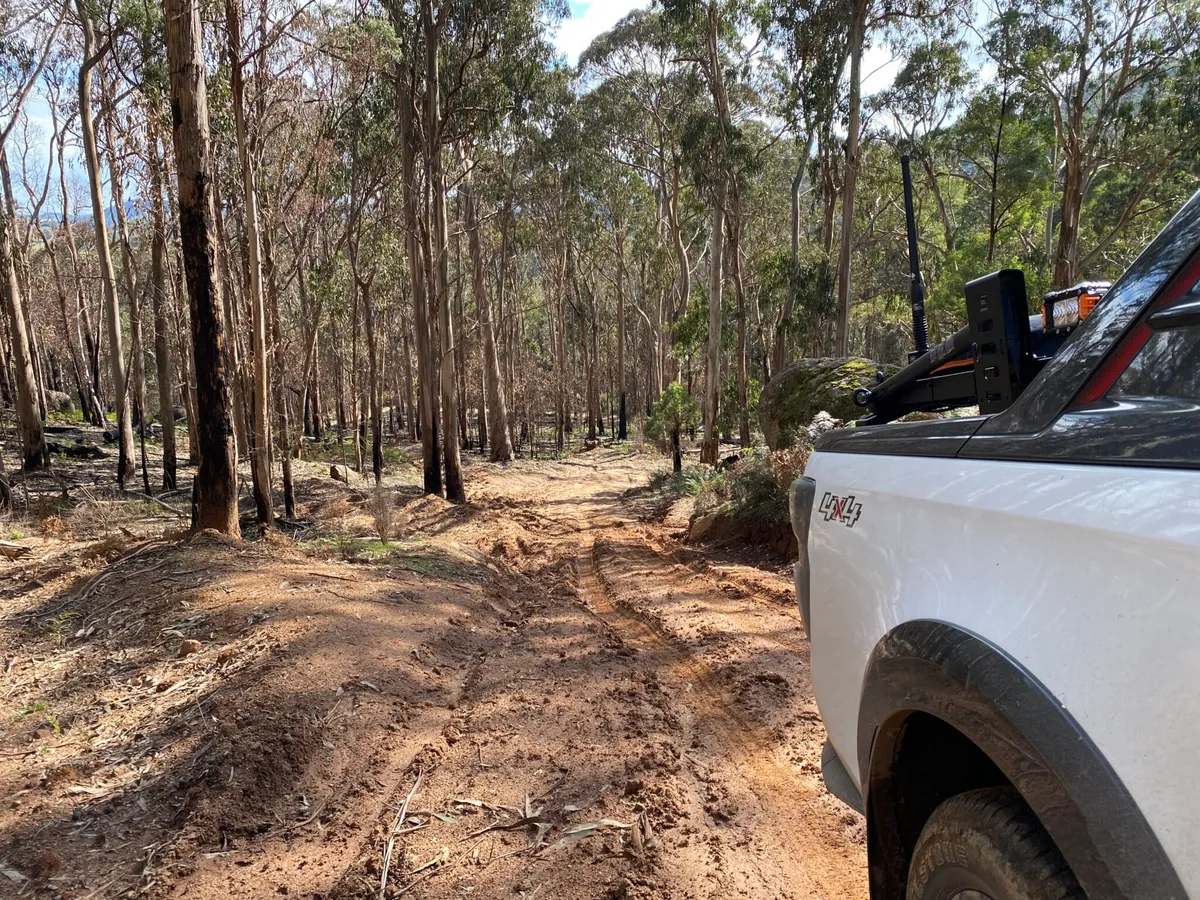 4wd Strathbogies