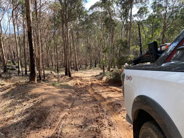 4wd Strathbogies