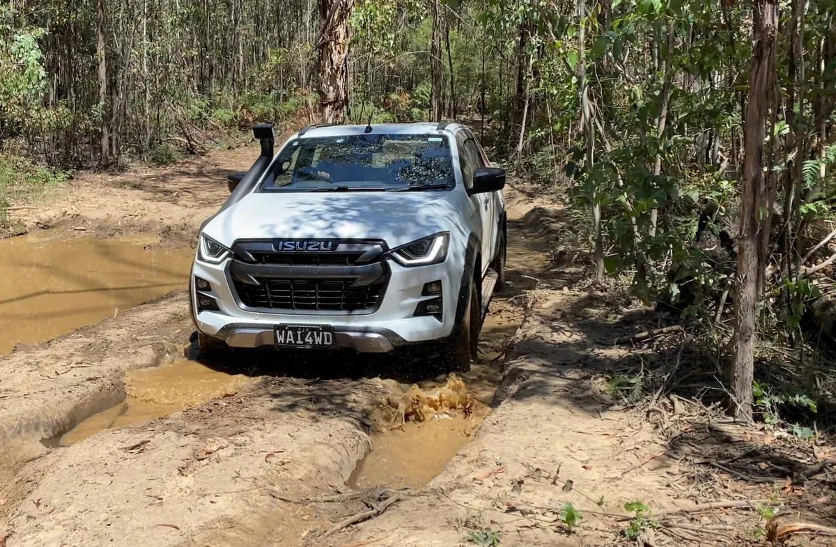 Mt Disappointment Tracks – Easy To Medium Track Options
